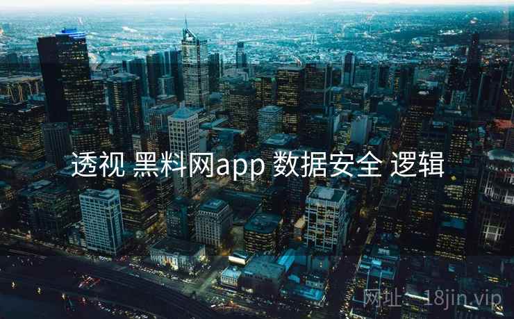 透视 黑料网app 数据安全 逻辑