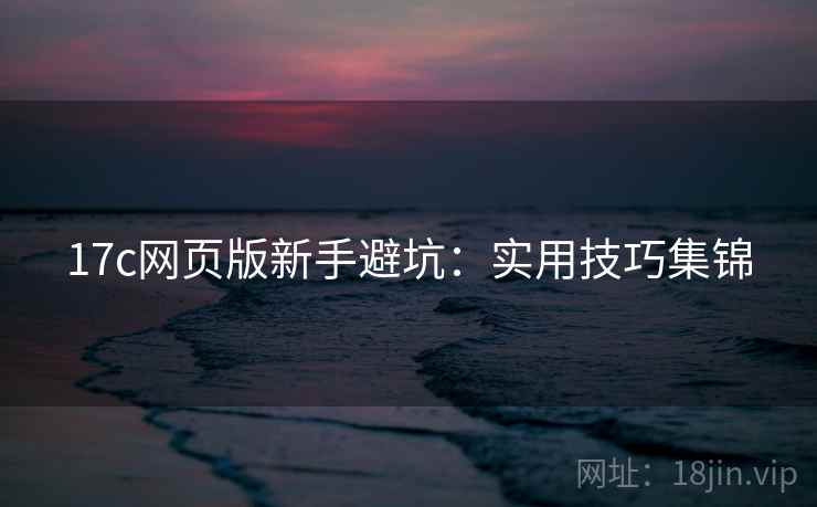 17c网页版新手避坑：实用技巧集锦