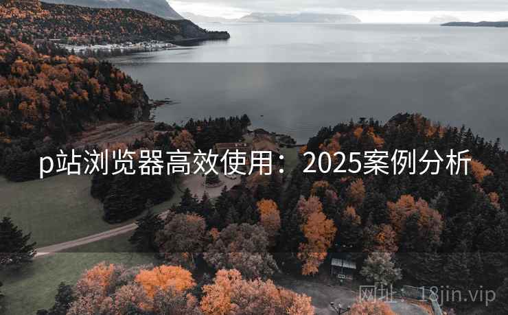 p站浏览器高效使用：2025案例分析