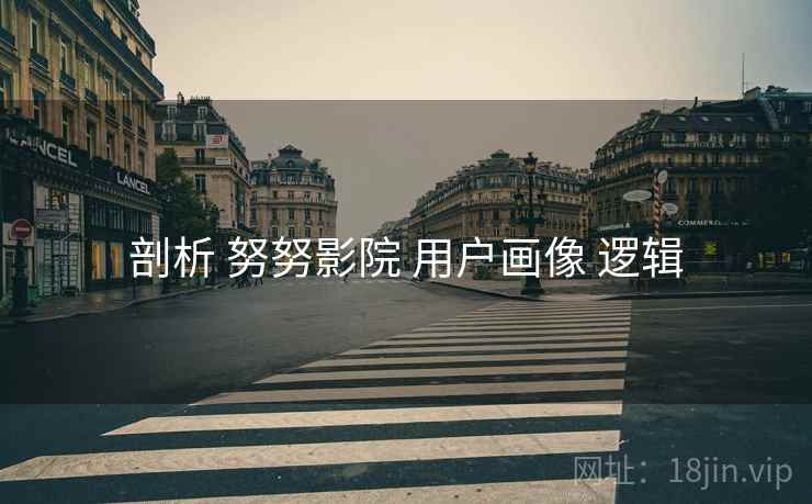 剖析 努努影院 用户画像 逻辑
