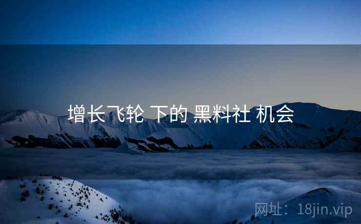 增长飞轮 下的 黑料社 机会