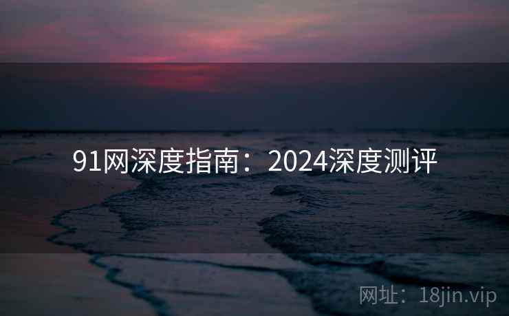 91网深度指南：2024深度测评