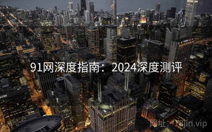 91网深度指南：2024深度测评