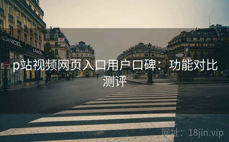 p站视频网页入口用户口碑：功能对比测评