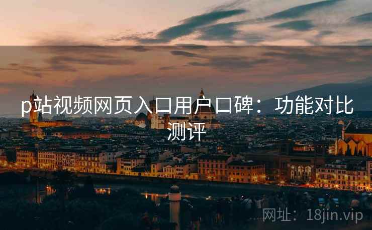 p站视频网页入口用户口碑：功能对比测评