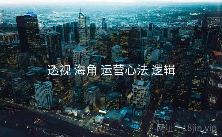 透视 海角 运营心法 逻辑