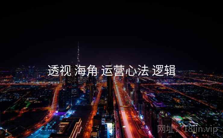 透视 海角 运营心法 逻辑
