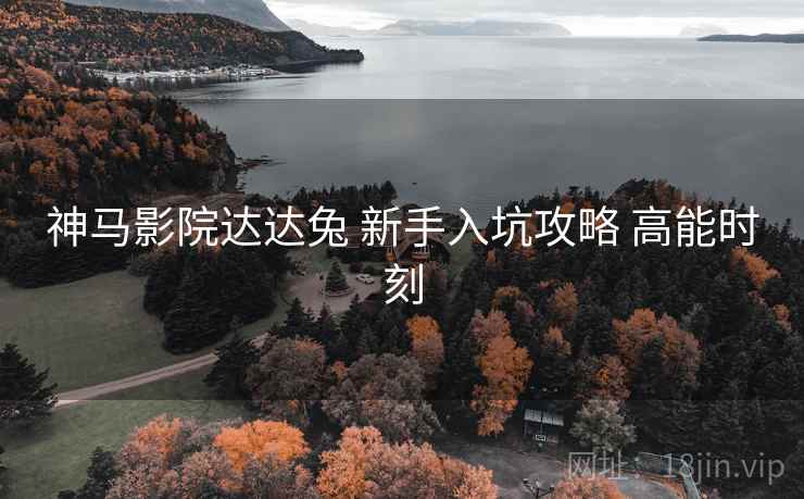 神马影院达达兔 新手入坑攻略 高能时刻