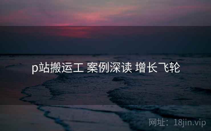 p站搬运工 案例深读 增长飞轮