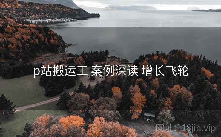 p站搬运工 案例深读 增长飞轮