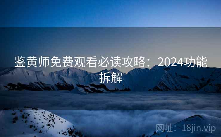 鉴黄师免费观看必读攻略：2024功能拆解