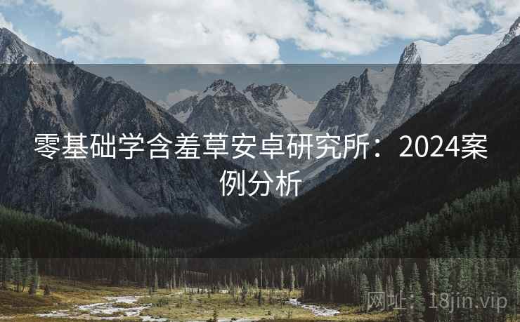 零基础学含羞草安卓研究所：2024案例分析