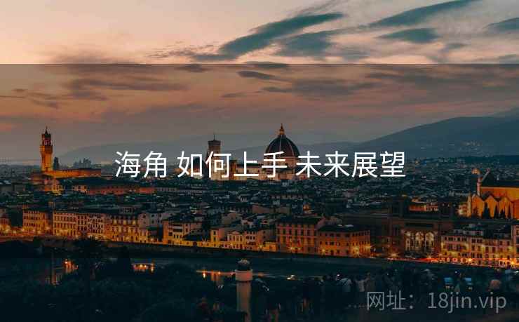 海角 如何上手 未来展望