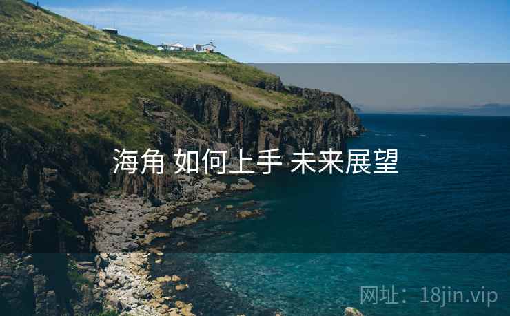 海角 如何上手 未来展望