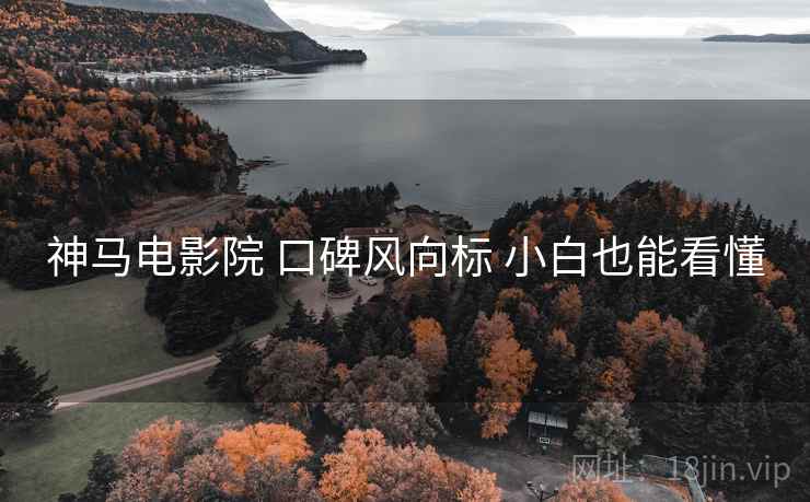 神马电影院 口碑风向标 小白也能看懂