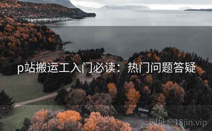 p站搬运工入门必读：热门问题答疑