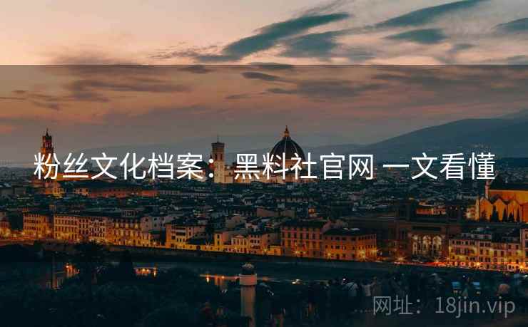 粉丝文化档案：黑料社官网 一文看懂