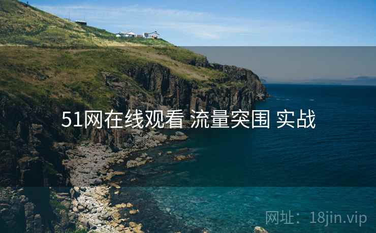 51网在线观看 流量突围 实战
