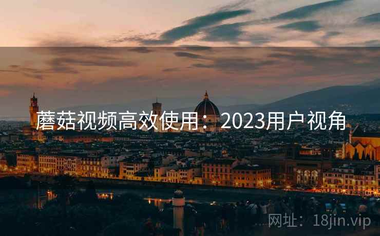 蘑菇视频高效使用：2023用户视角