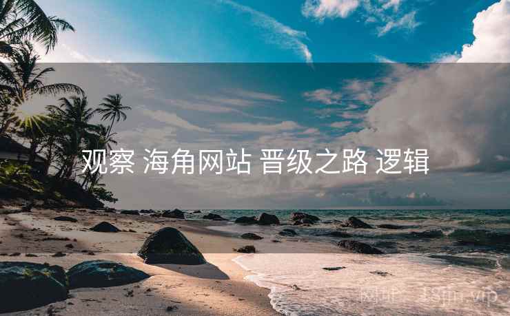 观察 海角网站 晋级之路 逻辑