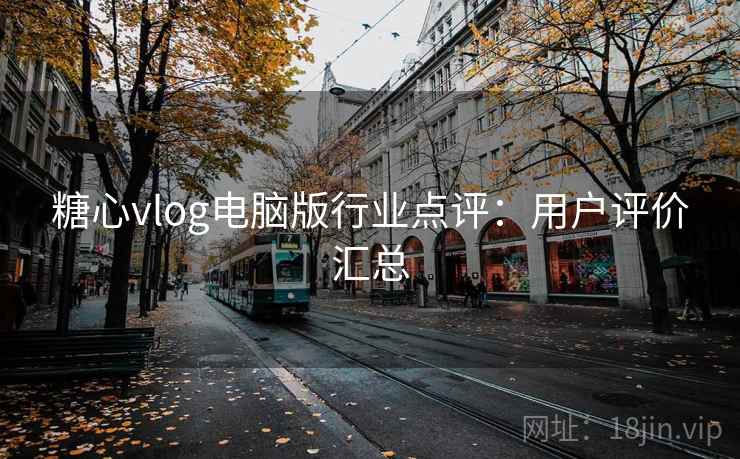 糖心vlog电脑版行业点评：用户评价汇总