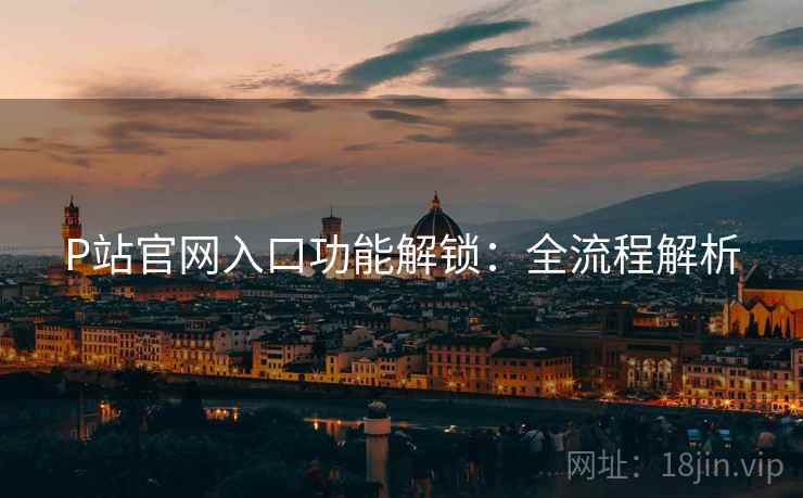 P站官网入口功能解锁：全流程解析