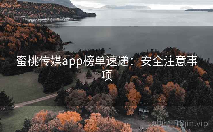 蜜桃传媒app榜单速递：安全注意事项