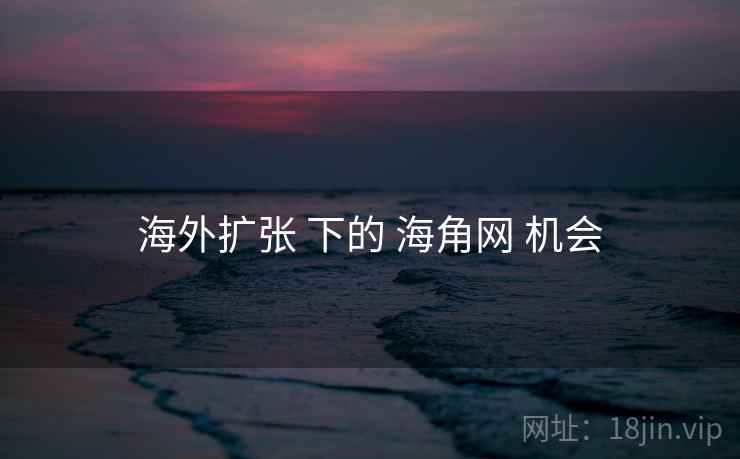 海外扩张 下的 海角网 机会